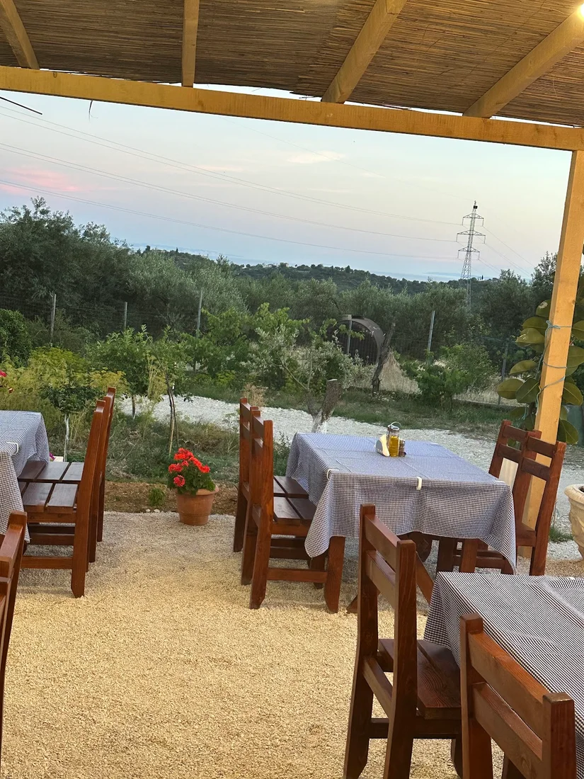 A reed-roofed pergola with gingham-clothed tables looking over olive groves to the distant sea at Taverna Dhimo Celos above Himarë