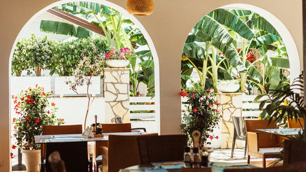 The plant-filled arched veranda of a restaurant in Dhërmi