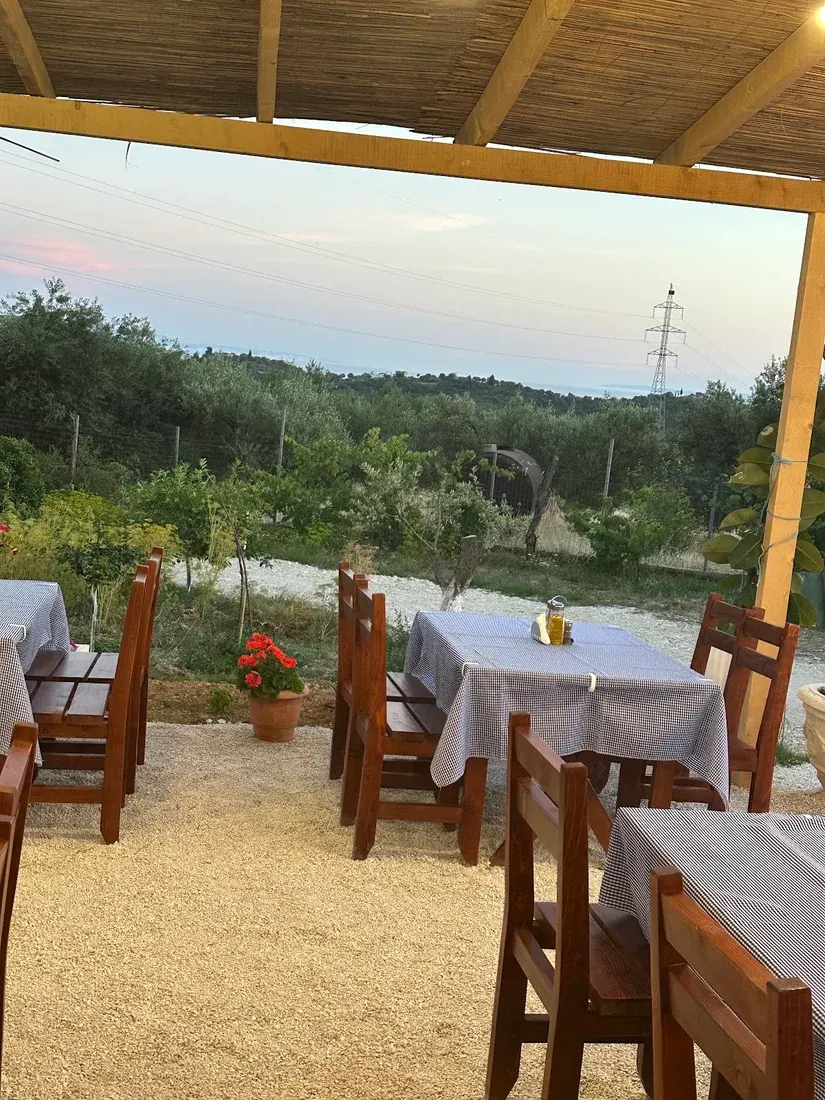A reed-roofed pergola with gingham-clothed tables looking over olive groves to the distant sea at Taverna Dhimo Celos above Himarë